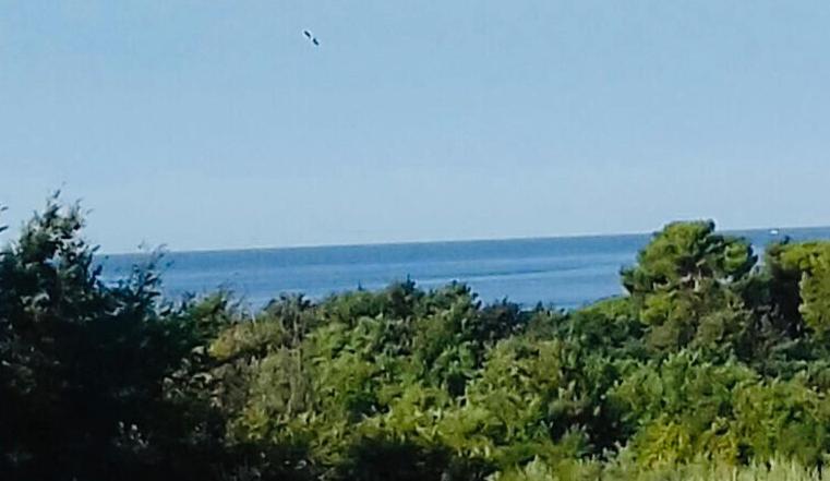 Apartment Ivana,Mali Maj Poreč Zewnętrze zdjęcie